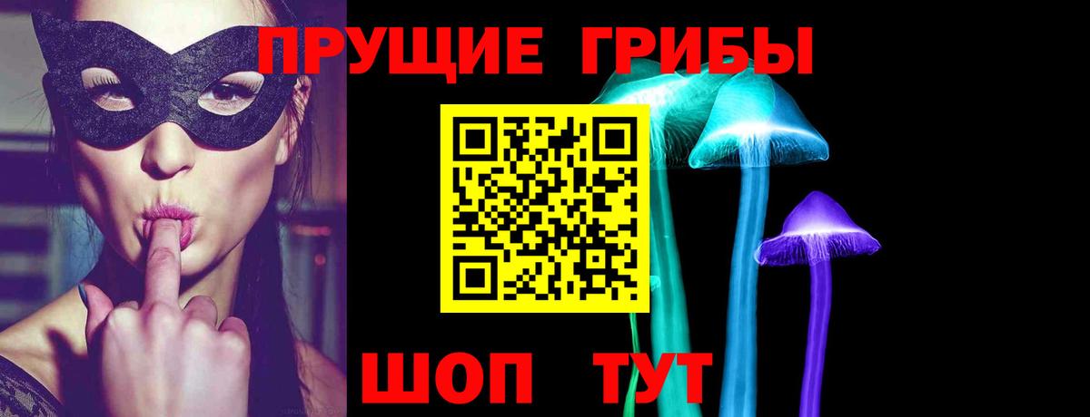 Нижний Новгород  где можно купить наркотик  Вход с VPN  Галлюциногенные грибы прущие грибы  Галлюциногенные грибы MAGIC MUSHROOMS 